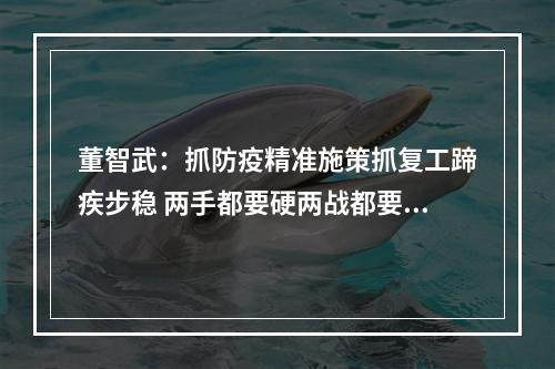 董智武：抓防疫精准施策抓复工蹄疾步稳 两手都要硬两战都要赢