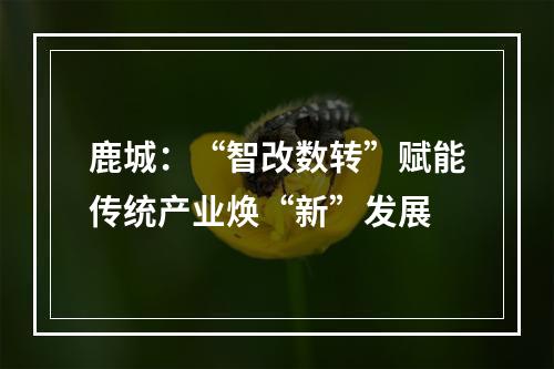 鹿城：“智改数转”赋能传统产业焕“新”发展