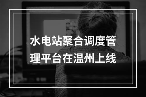水电站聚合调度管理平台在温州上线