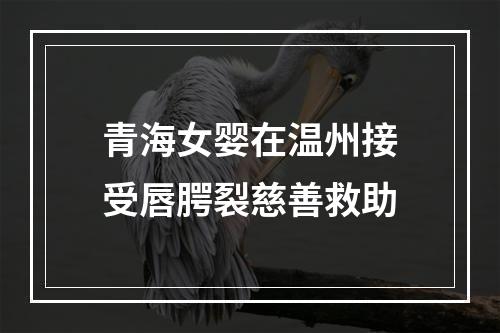 青海女婴在温州接受唇腭裂慈善救助