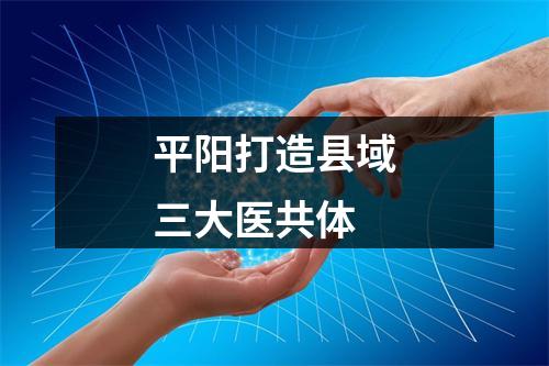 平阳打造县域三大医共体