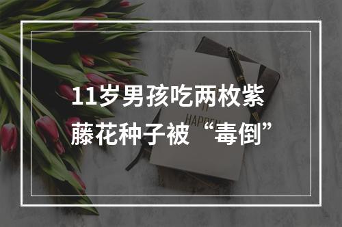 11岁男孩吃两枚紫藤花种子被“毒倒”