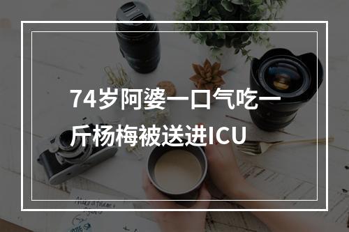 74岁阿婆一口气吃一斤杨梅被送进ICU