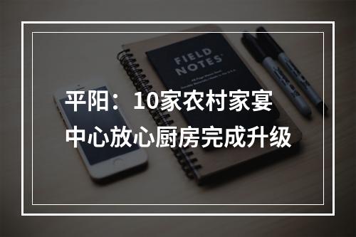 平阳：10家农村家宴中心放心厨房完成升级