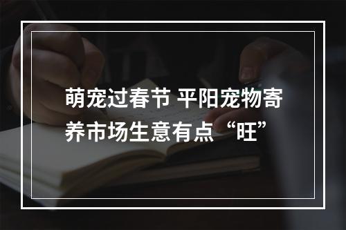 萌宠过春节 平阳宠物寄养市场生意有点“旺”