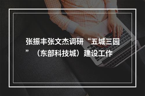 张振丰张文杰调研“五城三园”（东部科技城）建设工作