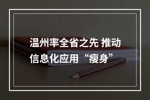 温州率全省之先 推动信息化应用“瘦身”