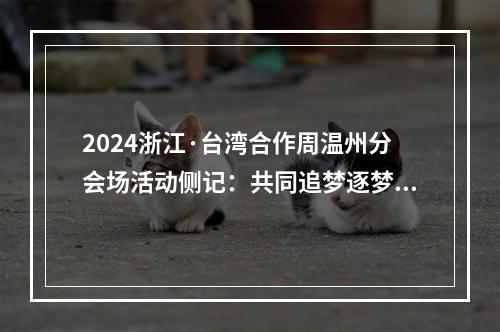 2024浙江·台湾合作周温州分会场活动侧记：共同追梦逐梦圆梦的脚步不能停