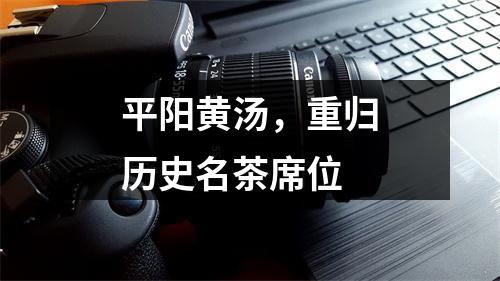 平阳黄汤，重归历史名茶席位