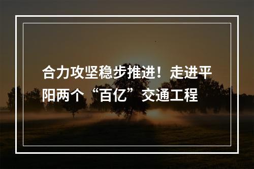合力攻坚稳步推进！走进平阳两个“百亿”交通工程
