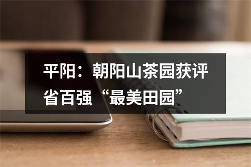 平阳：朝阳山茶园获评省百强“最美田园”