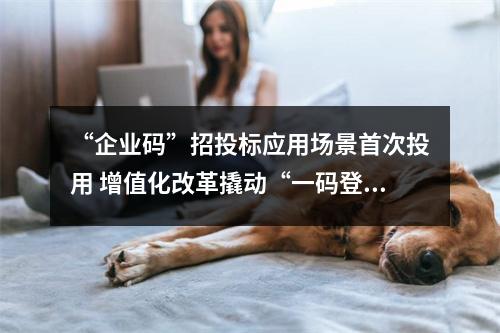 “企业码”招投标应用场景首次投用 增值化改革撬动“一码登录一照通投”