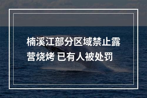 楠溪江部分区域禁止露营烧烤 已有人被处罚