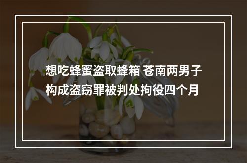 想吃蜂蜜盗取蜂箱 苍南两男子构成盗窃罪被判处拘役四个月