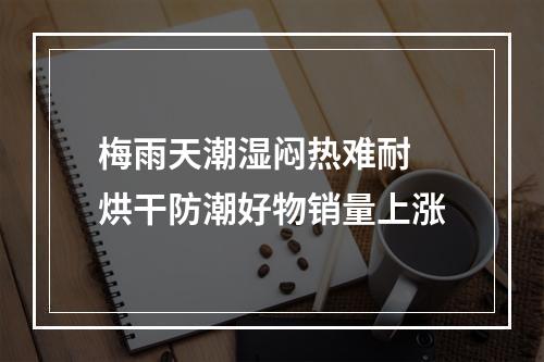 梅雨天潮湿闷热难耐 烘干防潮好物销量上涨