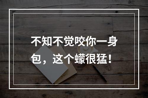 不知不觉咬你一身包，这个蠓很猛！