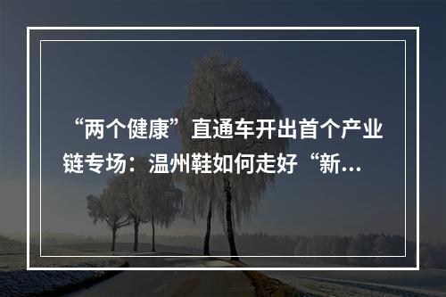 “两个健康”直通车开出首个产业链专场：温州鞋如何走好“新”路子