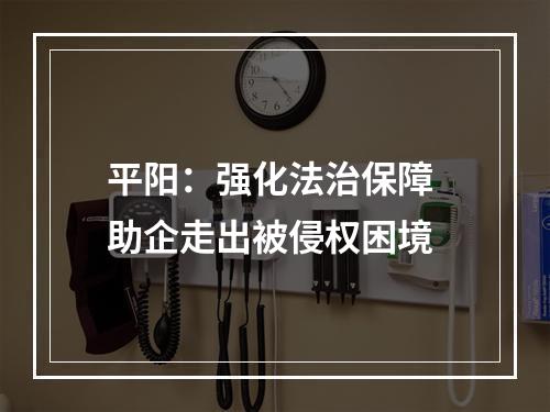 平阳：强化法治保障 助企走出被侵权困境