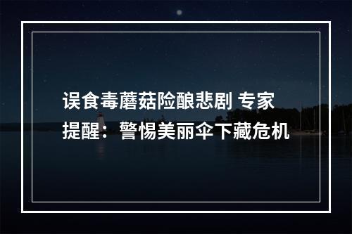 误食毒蘑菇险酿悲剧 专家提醒：警惕美丽伞下藏危机