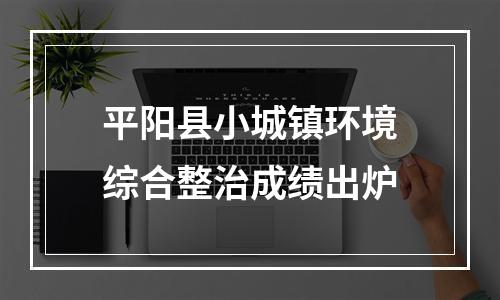 平阳县小城镇环境综合整治成绩出炉