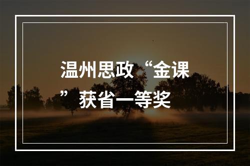 温州思政“金课”获省一等奖