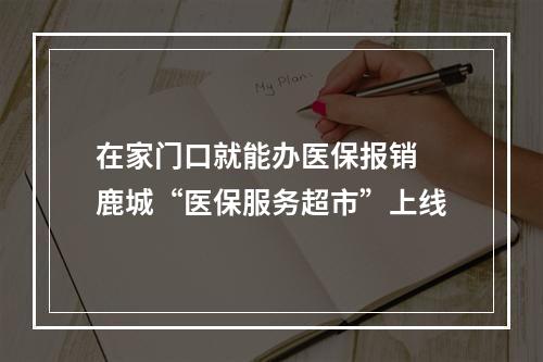 在家门口就能办医保报销 鹿城“医保服务超市”上线