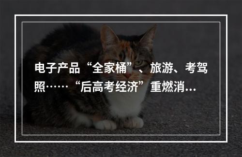 电子产品“全家桶”、旅游、考驾照……“后高考经济”重燃消费热情
