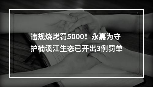 违规烧烤罚5000！永嘉为守护楠溪江生态已开出3例罚单