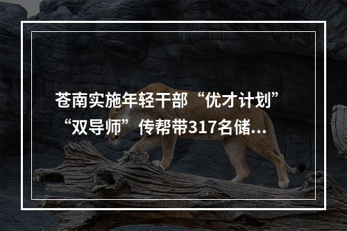 苍南实施年轻干部“优才计划” “双导师”传帮带317名储备干部