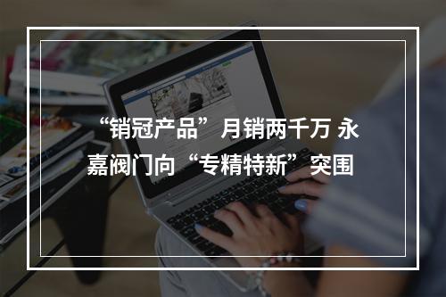 “销冠产品”月销两千万 永嘉阀门向“专精特新”突围