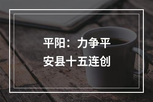 平阳：力争平安县十五连创