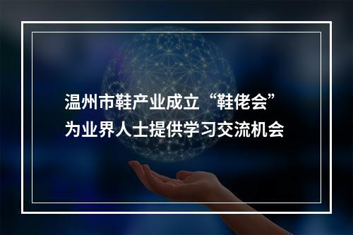 温州市鞋产业成立“鞋佬会” 为业界人士提供学习交流机会