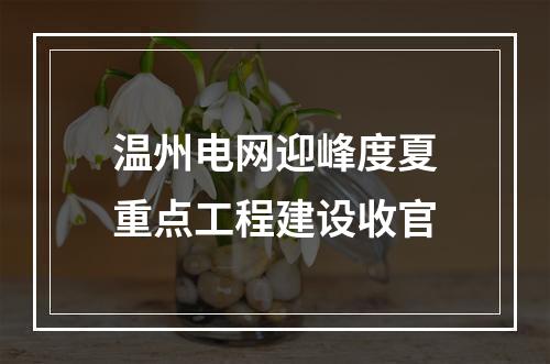 温州电网迎峰度夏重点工程建设收官