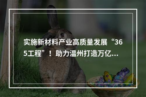 实施新材料产业高质量发展“365工程”！助力温州打造万亿新兴产业集群