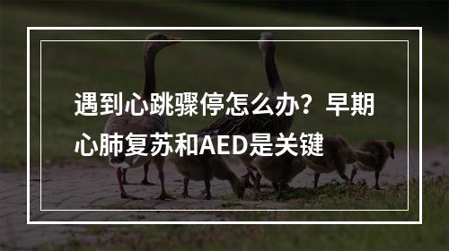 遇到心跳骤停怎么办？早期心肺复苏和AED是关键