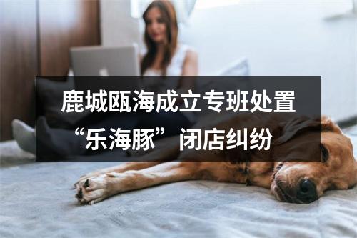 鹿城瓯海成立专班处置“乐海豚”闭店纠纷