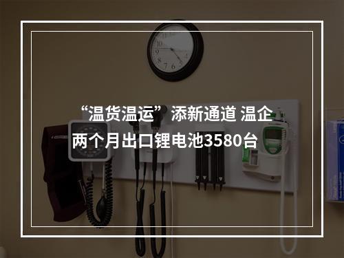 “温货温运”添新通道 温企两个月出口锂电池3580台