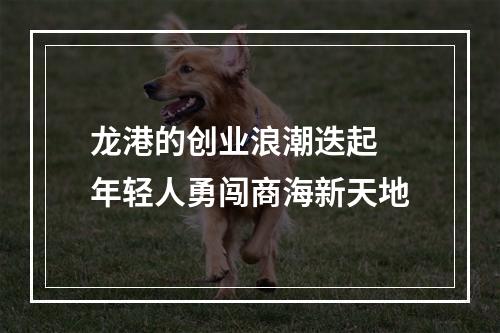 龙港的创业浪潮迭起 年轻人勇闯商海新天地