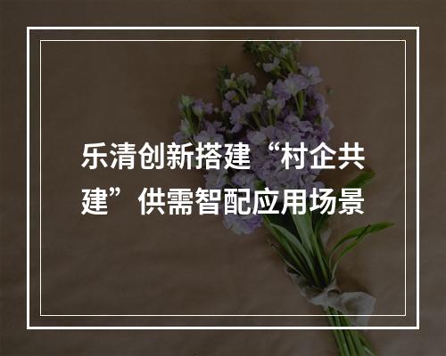 乐清创新搭建“村企共建”供需智配应用场景