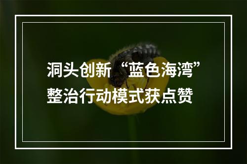 洞头创新“蓝色海湾”整治行动模式获点赞