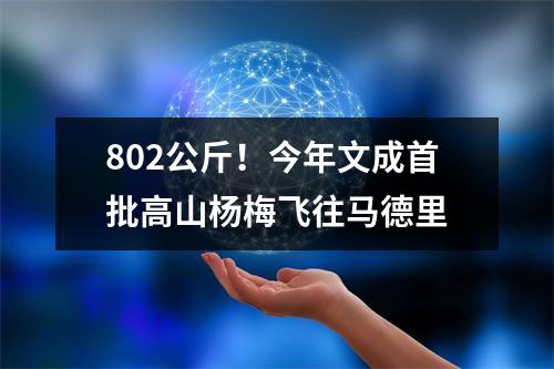 802公斤！今年文成首批高山杨梅飞往马德里