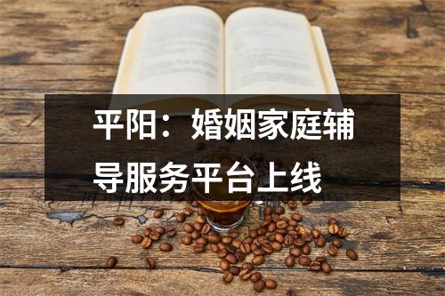 平阳：婚姻家庭辅导服务平台上线