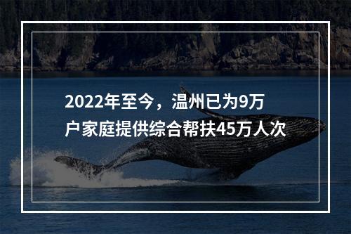 2022年至今，温州已为9万户家庭提供综合帮扶45万人次