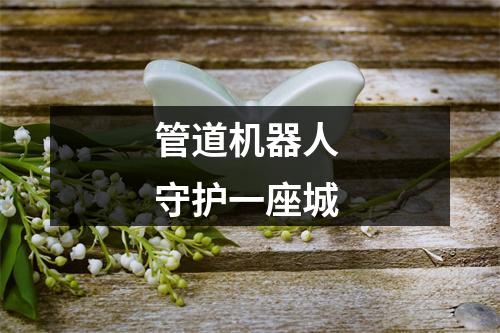 管道机器人 守护一座城