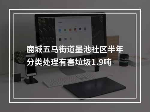 鹿城五马街道墨池社区半年分类处理有害垃圾1.9吨