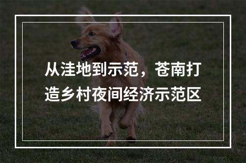 从洼地到示范，苍南打造乡村夜间经济示范区
