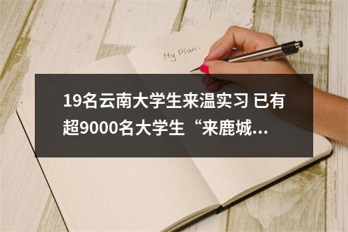 19名云南大学生来温实习 已有超9000名大学生“来鹿城·创未来”