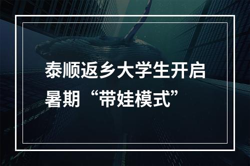 泰顺返乡大学生开启暑期“带娃模式”