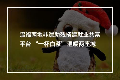 温福两地非遗助残搭建就业共富平台 “一杯白茶”温暖两座城