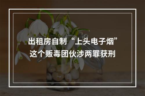 出租房自制“上头电子烟” 这个贩毒团伙涉两罪获刑